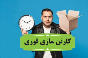 کارتن سازی فوری